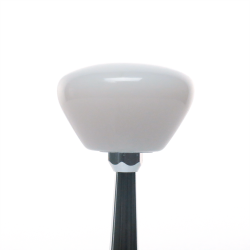 American Shifter - ASCSNX121800
